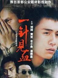 一针见血在线观看,揭秘真相的在线观看之旅